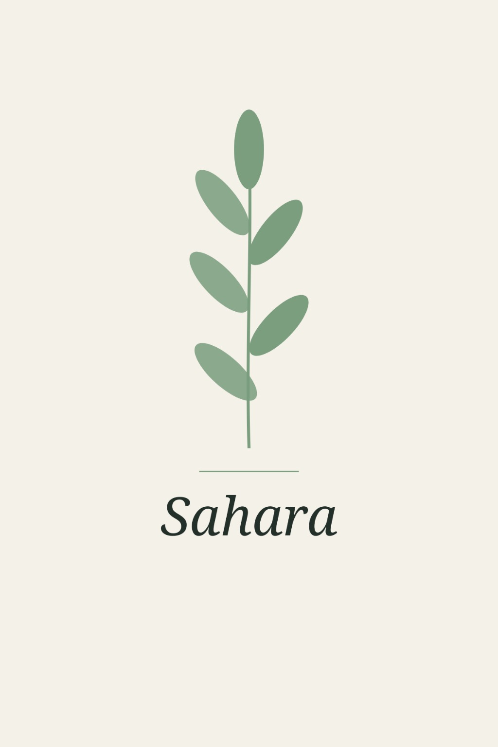 Sahara 